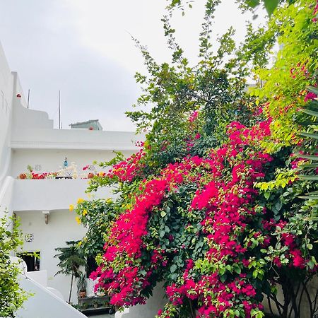 Mosaics Guest House Jaipur Dış mekan fotoğraf
