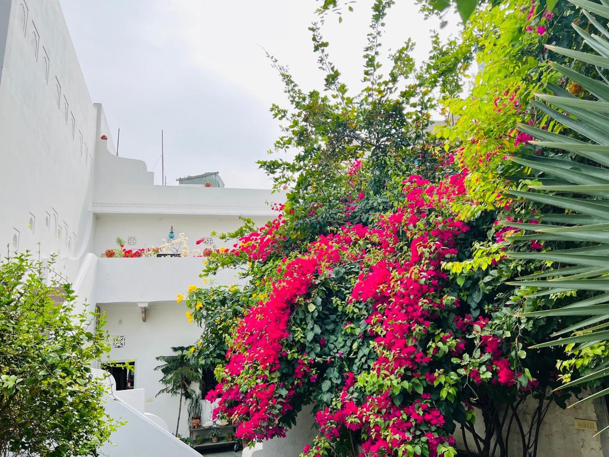 Mosaics Guest House Jaipur Dış mekan fotoğraf