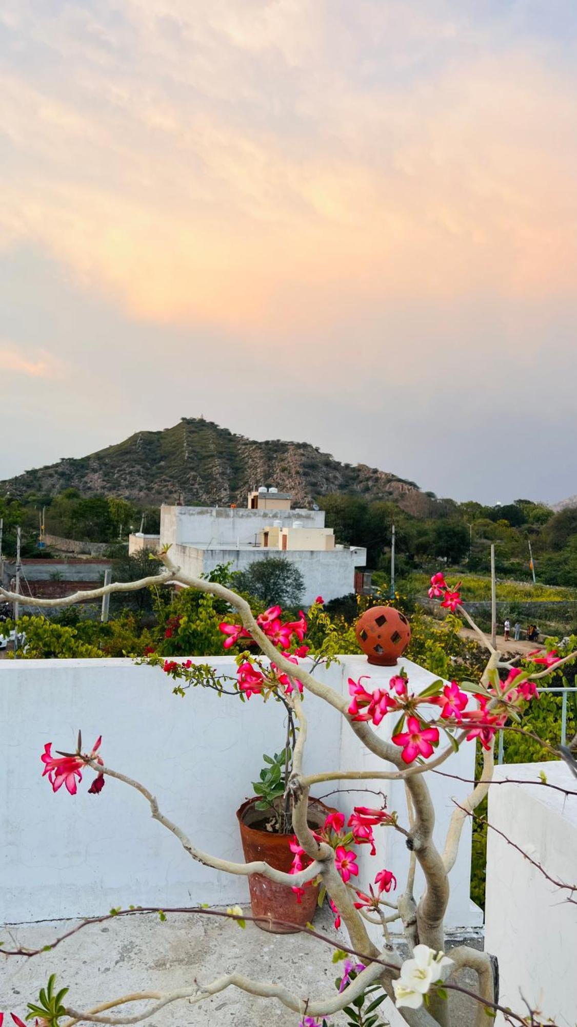 Mosaics Guest House Jaipur Dış mekan fotoğraf