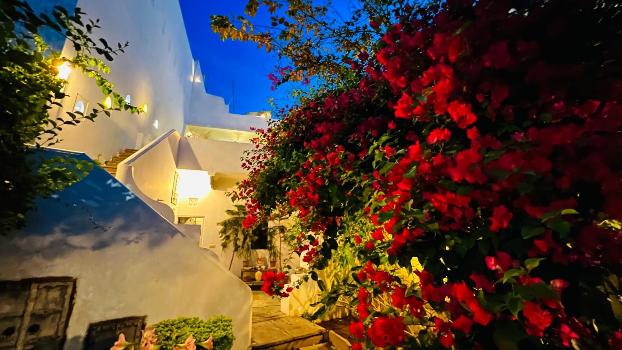 Mosaics Guest House Jaipur Dış mekan fotoğraf